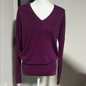 a.n.a Women's V-Neck Sweater - Purple